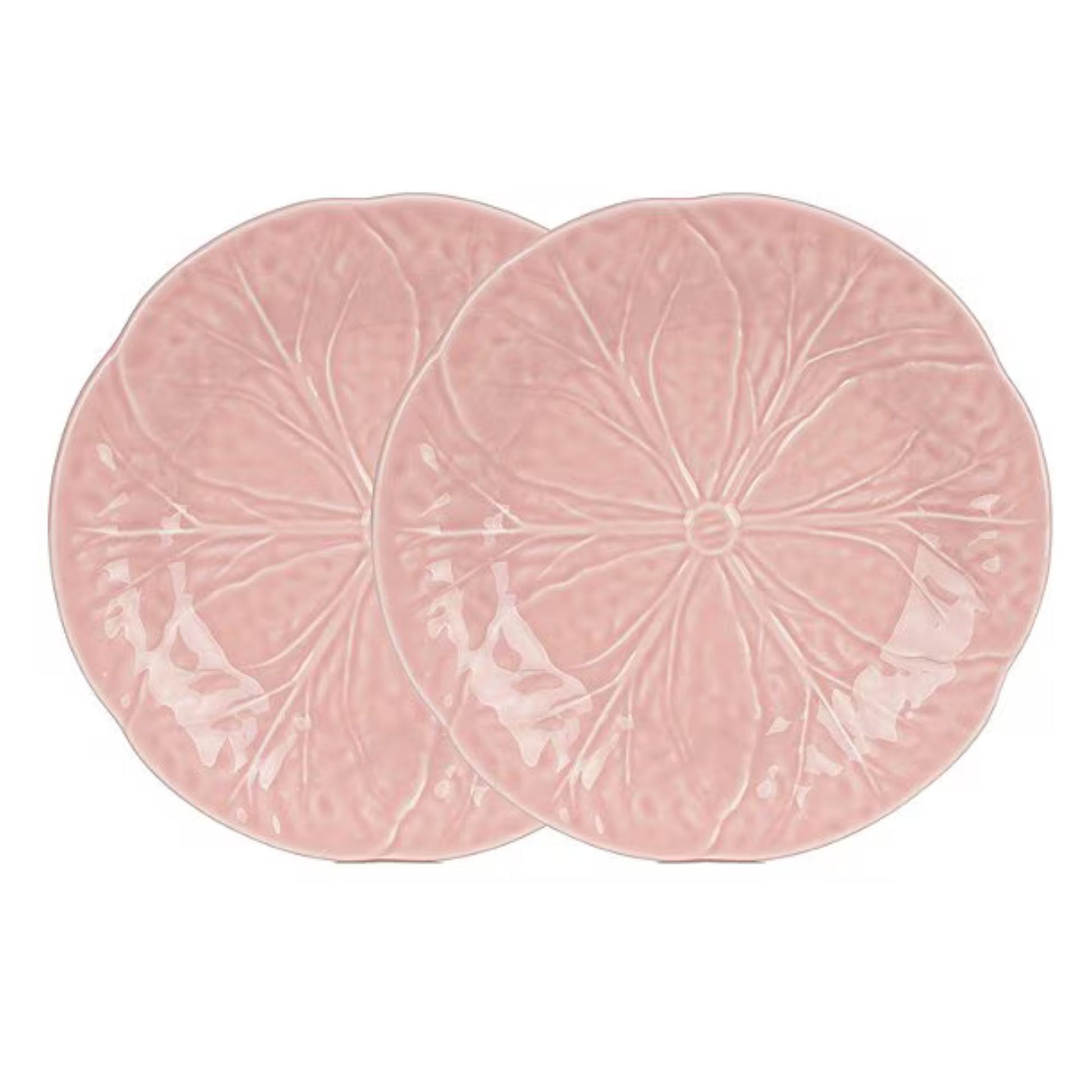Starter Plate - Pink Cabbage