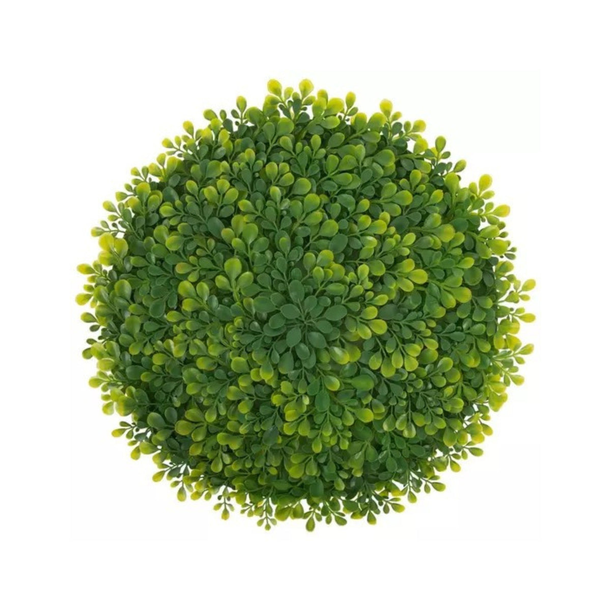 Boxwood Placemat